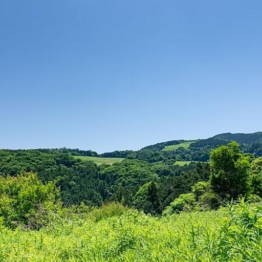 行ったこともない原野・山林