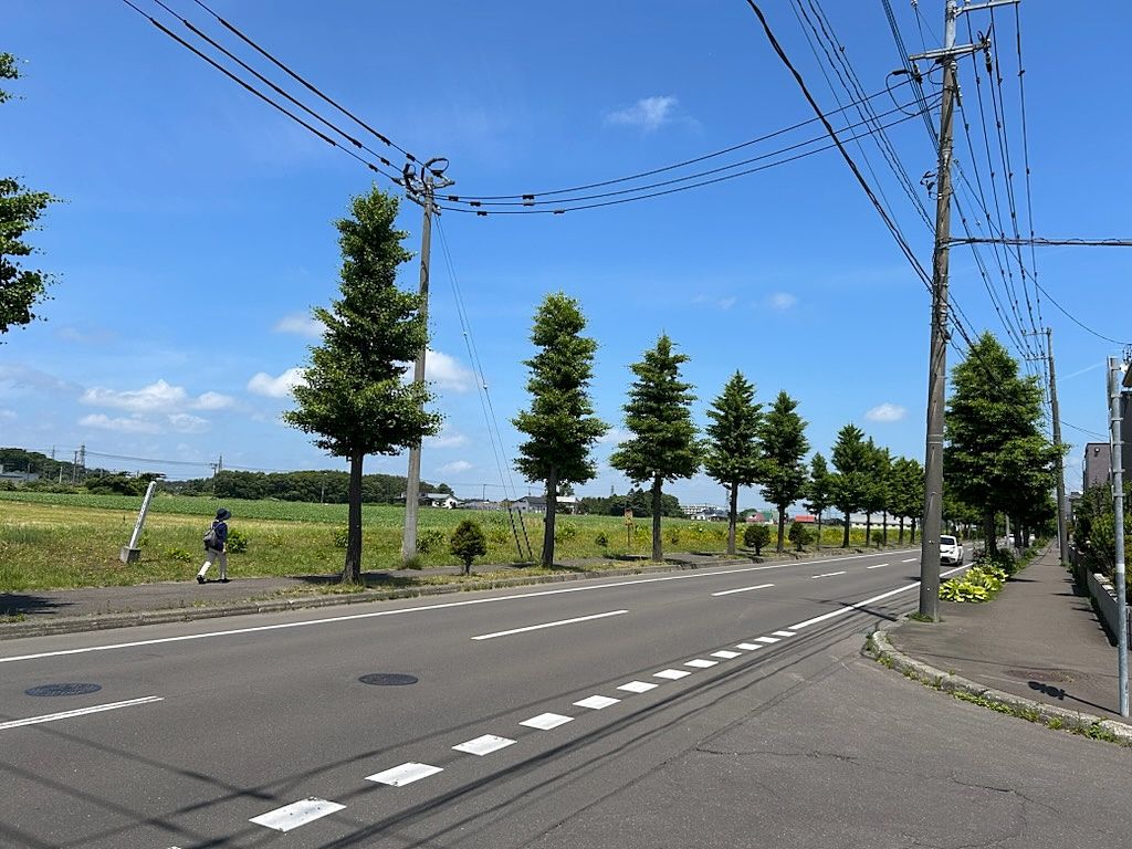 日本ハム二軍本拠点移転、恵庭市に内定に！